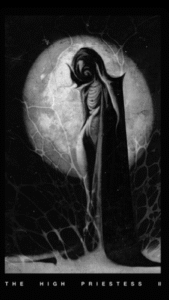 the black tarot deck by Victoria Iva ft. The High Priestess card in black and white