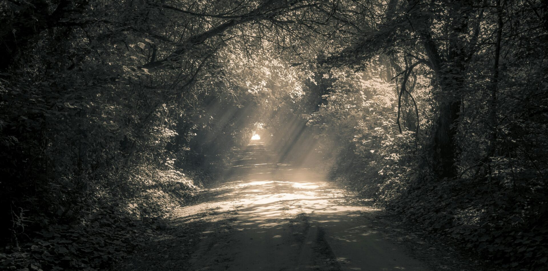 7 Principles of Spiritualism - cosmic spiritual energy connecting soul and universe