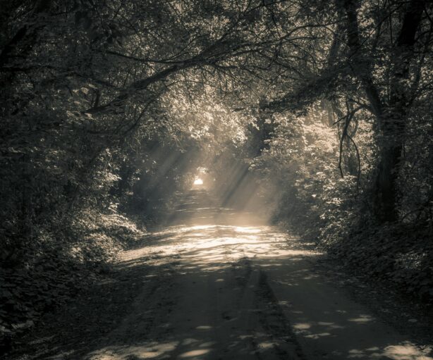 7 Principles of Spiritualism - cosmic spiritual energy connecting soul and universe